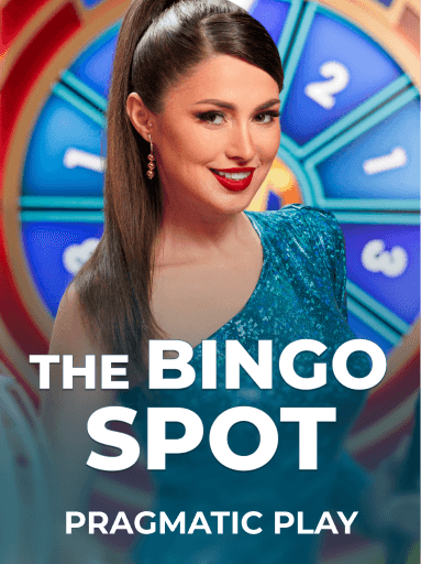 The Bingo Spot